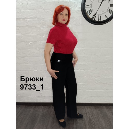 Брюки, Артикул 9733_1